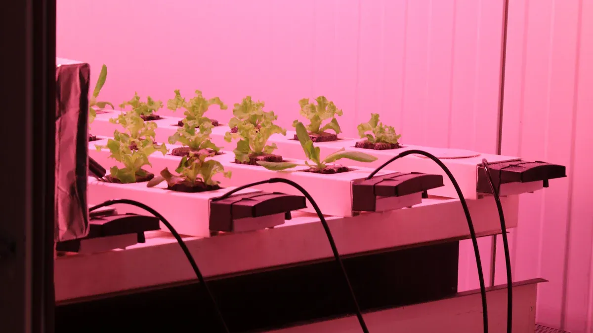 کیا عمودی اگنے والی لائٹس واقعی آپ کے پودوں کو بہتر بڑھنے میں مدد کرسکتے ہیں